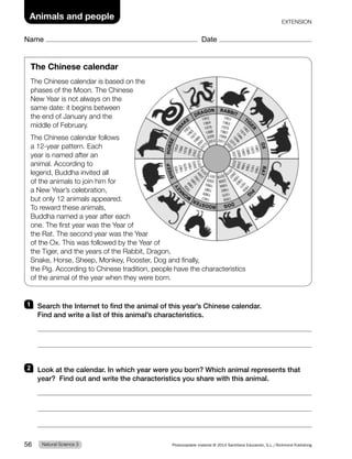 Name Date
Animals and people
The Chinese calendar
The Chinese calendar is based on the
phases of the Moon. The Chinese
New Year is not always on the
same date: it begins between
the end of January and the
middle of February.
The Chinese calendar follows
a 12-year pattern. Each
year is named after an
animal. According to
legend, Buddha invited all
of the animals to join him for
a New Year’s celebration,
but only 12 animals appeared.
To reward these animals,
Buddha named a year after each
one. The first year was the Year of
the Rat. The second year was the Year
of the Ox. This was followed by the Year of
the Tiger, and the years of the Rabbit, Dragon,
Snake, Horse, Sheep, Monkey, Rooster, Dog and finally,
the Pig. According to Chinese tradition, people have the characteristics
of the animal of the year when they were born.
1 Search the Internet to find the animal of this year’s Chinese calendar.
Find and write a list of this animal’s characteristics.
2 Look at the calendar. In which year were you born? Which animal represents that
year? Find out and write the characteristics you share with this animal.
EXTENSION
Natural Science 3
56 Photocopiable material © 2014 Santillana Educación, S.L./Richmond Publishing
 