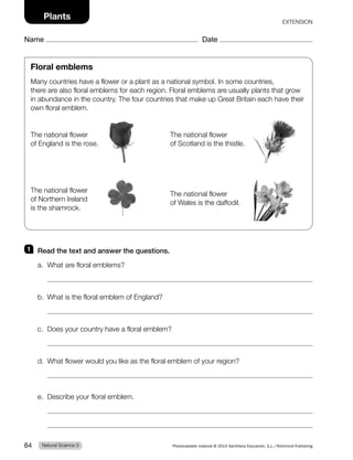 1 Read the text and answer the questions.
a. What are floral emblems?
b. What is the floral emblem of England?
c. Does your country have a floral emblem?
d. What flower would you like as the floral emblem of your region?
e. Describe your floral emblem.
Floral emblems
Many countries have a flower or a plant as a national symbol. In some countries,
there are also floral emblems for each region. Floral emblems are usually plants that grow
in abundance in the country. The four countries that make up Great Britain each have their
own floral emblem.
The national flower
of England is the rose.
The national flower
of Northern Ireland
is the shamrock.
The national flower
of Scotland is the thistle.
The national flower
of Wales is the daffodil.
Natural Science 3
64 Photocopiable material © 2014 Santillana Educación, S.L./Richmond Publishing
Plants
Name Date
EXTENSION
 
