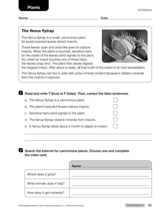 The Venus flytrap
The Venus flytrap is a small, carnivorous plant.
Its sweet-scented leaves attract insects.
These leaves open and close like jaws to capture
insects. When the plant is touched, sensitive hairs
on the inside of the leaves send signals to the plant.
So, when an insect touches one of these hairs,
the leaves snap shut. The plant then slowly digests
the trapped insect. After about a week, all that is left of the insect is its hard exoskeleton.
The Venus flytrap can live in soils with a low mineral content because it obtains minerals
from the insects it captures.
1 Read and write T (true) or F (false). Then, correct the false sentences.
a. The Venus flytrap is a carnivorous plant.
b. The plant’s beautiful flowers attract insects.
c. Sensitive hairs send signals to the plant.
d. The Venus flytrap obtains minerals from insects.
e. A Venus flytrap takes about a month to digest an insect.
2 Search the Internet for carnivorous plants. Choose one and complete
the index card.
Name:
Where does it grow?
What animals does it trap?
How does it get nutrients?
Natural Science 3
Photocopiable material © 2014 Santillana Educación, S.L./Richmond Publishing 65
Name Date
Plants EXTENSION
 