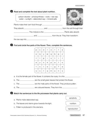 4 Read and complete the text about plant nutrition.
carbon dioxide – photosynthesis – roots – raw sap
water – sunlight – elaborated sap – mineral salts
Plants make their own food through .
They absorb and from the soil through their
. This mixture is the . Plants also absorb
and from the air. They then transform
the raw sap into .
5 Find and circle five parts of the flower. Then, complete the sentences.
p c o r o l l a
e q y w q b p z
t l p i s t i l
a y s e p a l s
l x t e i g f a
s s t a m e n s
a. It is the female part of the flower. It contains the ovary. It is the .
b. The are the small green leaves that protect the flower.
c. The are the male parts of the flower. They produce pollen.
d. The are coloured leaves. They form the .
6 Match the sentences to the life processes that plants carry out.
a. Plants make elaborated sap.
b. The leaves and stems grow towards the light.
c. Pollen is produced in the stamens.
sensitivity
nutrition
reproduction
Natural Science 3
Photocopiable material © 2014 Santillana Educación, S.L./Richmond Publishing 67
ASSESSMENT
 
