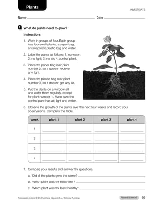 1 What do plants need to grow?
Instructions
1. Work in groups of four. Each group
has four small plants, a paper bag,
a transparent plastic bag and water.
2. Label the plants as follows: 1. no water;
2. no light; 3. no air; 4. control plant.
3. Place the paper bag over plant
number 2, so it doesn’t receive
any light.
4. Place the plastic bag over plant
number 3, so it doesn’t get any air.
5. Put the plants on a window sill
and water them regularly, except
for plant number 1. Make sure the
control plant has air, light and water.
6. Observe the growth of the plants over the next four weeks and record your
observations. Complete the table.
week plant 1 plant 2 plant 3 plant 4
1
2
3
4
7. Compare your results and answer the questions.
a. Did all the plants grow the same?
b. Which plant was the healthiest?
c. Which plant was the least healthy?
Natural Science 3
Photocopiable material © 2014 Santillana Educación, S.L./Richmond Publishing 69
Name Date
Plants INVESTIGATE
 