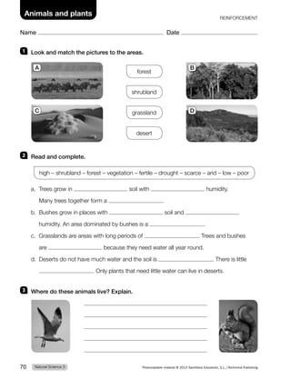 1 Look and match the pictures to the areas.
forest
shrubland
grassland
desert
2 Read and complete.
high – shrubland – forest – vegetation – fertile – drought – scarce – arid – low – poor
a. Trees grow in soil with humidity.
Many trees together form a .
b. Bushes grow in places with soil and
humidity. An area dominated by bushes is a .
c. Grasslands are areas with long periods of . Trees and bushes
are because they need water all year round.
d. Deserts do not have much water and the soil is . There is little
. Only plants that need little water can live in deserts.
3 Where do these animals live? Explain.
A B
C D
REINFORCEMENT
Natural Science 3
70 Photocopiable material © 2014 Santillana Educación, S.L./Richmond Publishing
Name Date
Animals and plants
 