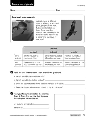 Fast and slow animals
Animals move at different
speeds. Walking at a normal
pace, people usually walk
five or six kilometres per
hour. Some very slow
animals take a whole year to
travel the same distance as
a fast animal can travel in
one hour!
animals
on land in the air in water
slow
animals
Sloths move at 12
metres per hour.
Small flies move at 35
kilometres per hour.
Perches swim at 2.1
kilometres per hour.
fast
animals
Cheetahs can run at
100 kilometres per hour.
Falcons can fly at 300
kilometres per hour.
Sailfish can swim at 110
kilometres per hour.
1 Read the text and the table. Then, answer the questions.
a. Which animal is the slowest on land?
b. Which animal is the fastest on land?
c. Does the slowest animal move on land, in the air or in water?
d. Does the fastest animal move on land, in the air or in water?
2 Find your favourite animal on the Internet.
Draw it. Then, find out how fast it moves
and complete the sentences.
My favourite animal is the .
It moves at .
Natural Science 3
Photocopiable material © 2014 Santillana Educación, S.L./Richmond Publishing 73
Name Date
EXTENSION
Animals and plants
 