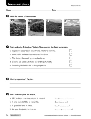 1 Write the names of these areas.
2 Read and write T (true) or F (false). Then, correct the false sentences.
a. Vegetation depends on soil, climate, relief and humidity.
b. Pines, oaks and beeches are types of bushes.
c. The African Savannah is a grassland area.
d. Deserts are areas with fertile soil and high humidity.
e. Grass in grasslands dies in drought periods.
3 What is vegetation? Explain.
4 Read and complete the words.
a. All the plants in an area, region or country. v g t
b. A long period of little or no rainfall. d o t
c. A grassland area in Africa. s v h
d. An area dominated by bushes. s u d
A B C D
Natural Science 3
74 Photocopiable material © 2014 Santillana Educación, S.L./Richmond Publishing
Name Date
Animals and plants ASSESSMENT
 