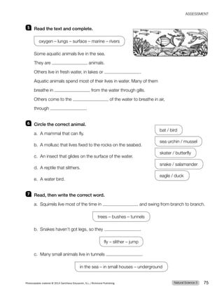 5 Read the text and complete.
oxygen – lungs – surface – marine – rivers
Some aquatic animals live in the sea.
They are animals.
Others live in fresh water, in lakes or .
Aquatic animals spend most of their lives in water. Many of them
breathe in from the water through gills.
Others come to the of the water to breathe in air,
through .
6 Circle the correct animal.
a. A mammal that can fly.
bat / bird
b. A mollusc that lives fixed to the rocks on the seabed.
sea urchin / mussel
c. An insect that glides on the surface of the water.
skater / butterfly
d. A reptile that slithers.
snake / salamander
e. A water bird.
eagle / duck
7 Read, then write the correct word.
a. Squirrels live most of the time in and swing from branch to branch.
trees – bushes – tunnels
b. Snakes haven’t got legs, so they .
fly – slither – jump
c. Many small animals live in tunnels .
in the sea – in small houses – underground
Natural Science 3
Photocopiable material © 2014 Santillana Educación, S.L./Richmond Publishing 75
ASSESSMENT
 