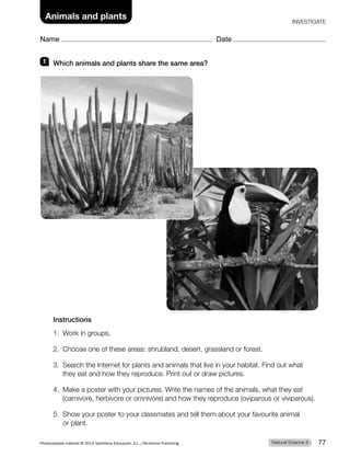 1 Which animals and plants share the same area?
Instructions
1. Work in groups.
2. Choose one of these areas: shrubland, desert, grassland or forest.
3. Search the Internet for plants and animals that live in your habitat. Find out what
they eat and how they reproduce. Print out or draw pictures.
4. Make a poster with your pictures. Write the names of the animals, what they eat
(carnivore, herbivore or omnivore) and how they reproduce (oviparous or viviparous).
5. Show your poster to your classmates and tell them about your favourite animal
or plant.
Natural Science 3
Photocopiable material © 2014 Santillana Educación, S.L./Richmond Publishing 77
Name Date
INVESTIGATE
Animals and plants
 