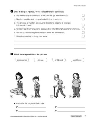 3 Write T (true) or F (false). Then, correct the false sentences.
a. We need energy and nutrients to live, and we get them from food.
b. Nutrition provides your body with electricity and nutrients.
c. The process of nutrition allows us to detect and respond to changes
in the environment.
d. Children look like their parents because they inherit their physical characteristics.
e. We use our senses to get information about the environment.
f. Melanin protects your body from water.
4 Match the stages of life to the pictures.
adolescence old age childhood adulthood
t /PX XSJUFUIFTUBHFTPGMJGFJOPSEFS
1st
2nd
3rd
4th
A B C D
REINFORCEMENT
Natural Science 3
Photocopiable material © 2014 Santillana Educación, S.L./Richmond Publishing 7
 