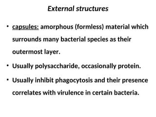 391991409-1-Bacterial-Morphology-ppt.ppt