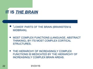 01/31/1522
IT IS THE BRAIN
 ‘LOWER’ PARTS OF THE BRAIN (BRAINSTEM &
MIDBRAIN).
 MOST COMPLEX FUNCTIONS (LANGUAGE, ABSTRACT
THINKING), BY ITS MOST COMPLEX CORTICAL
STRUCTURES.
 THE HIERARCHY OF INCREASINGLY COMPLEX
FUNCTIONS IS MEDICATED BY THE HIERARCHY OF
INCREASINGLY COMPLEX BRAIN AREAS.
 