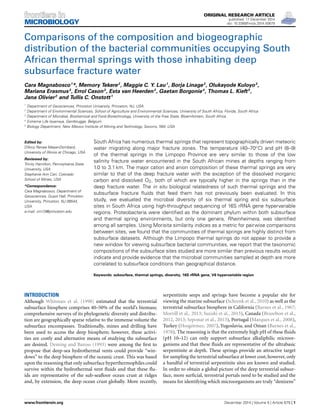 ORIGINAL RESEARCH ARTICLE
published: 17 December 2014
doi: 10.3389/fmicb.2014.00679
Comparisons of the composition and biogeographic
distribution of the bacterial communities occupying South
African thermal springs with those inhabiting deep
subsurface fracture water
Cara Magnabosco1
*, Memory Tekere2
, Maggie C. Y. Lau1
, Borja Linage3
, Olukayode Kuloyo3
,
Mariana Erasmus3
, Errol Cason3
, Esta van Heerden3
, Gaetan Borgonie4
, Thomas L. Kieft5
,
Jana Olivier2
and Tullis C. Onstott1
1
Department of Geosciences, Princeton University, Princeton, NJ, USA
2
Department of Environmental Sciences, School of Agriculture and Environmental Sciences, University of South Africa, Florida, South Africa
3
Department of Microbial, Biochemical and Food Biotechnology, University of the Free State, Bloemfontein, South Africa
4
Extreme Life Isyensya, Gentbrugge, Belgium
5
Biology Department, New Mexico Institute of Mining and Technology, Socorro, NM, USA
Edited by:
D’Arcy Renee Meyer-Dombard,
University of Illinois at Chicago, USA
Reviewed by:
Trinity Hamilton, Pennsylvania State
University, USA
Stephanie Ann Carr, Colorado
School of Mines, USA
*Correspondence:
Cara Magnabosco, Department of
Geosciences, Guyot Hall, Princeton
University, Princeton, NJ 08544,
USA
e-mail: cm13@princeton.edu
South Africa has numerous thermal springs that represent topographically driven meteoric
water migrating along major fracture zones. The temperature (40–70◦C) and pH (8–9)
of the thermal springs in the Limpopo Province are very similar to those of the low
salinity fracture water encountered in the South African mines at depths ranging from
1.0 to 3.1 km. The major cation and anion composition of these thermal springs are very
similar to that of the deep fracture water with the exception of the dissolved inorganic
carbon and dissolved O2, both of which are typically higher in the springs than in the
deep fracture water. The in situ biological relatedness of such thermal springs and the
subsurface fracture ﬂuids that feed them has not previously been evaluated. In this
study, we evaluated the microbial diversity of six thermal spring and six subsurface
sites in South Africa using high-throughput sequencing of 16S rRNA gene hypervariable
regions. Proteobacteria were identiﬁed as the dominant phylum within both subsurface
and thermal spring environments, but only one genera, Rheinheimera, was identiﬁed
among all samples. Using Morisita similarity indices as a metric for pairwise comparisons
between sites, we found that the communities of thermal springs are highly distinct from
subsurface datasets. Although the Limpopo thermal springs do not appear to provide a
new window for viewing subsurface bacterial communities, we report that the taxonomic
compositions of the subsurface sites studied are more similar than previous results would
indicate and provide evidence that the microbial communities sampled at depth are more
correlated to subsurface conditions than geographical distance.
Keywords: subsurface, thermal springs, diversity, 16S rRNA gene, V6 hypervariable region
INTRODUCTION
Although Whitman et al. (1998) estimated that the terrestrial
subsurface biosphere comprises 40–50% of the world’s biomass;
comprehensive surveys of its phylogenetic diversity and distribu-
tion are geographically sparse relative to the immense volume the
subsurface encompasses. Traditionally, mines and drilling have
been used to access the deep biosphere; however, these activi-
ties are costly and alternative means of studying the subsurface
are desired. Deming and Baross (1993) were among the ﬁrst to
propose that deep-sea hydrothermal vents could provide “win-
dows” to the deep biosphere of the oceanic crust. This was based
upon the reasoning that only subsurface hyperthermophiles could
survive within the hydrothermal vent ﬂuids and that these ﬂu-
ids are representative of the sub-seaﬂoor ocean crust at ridges
and, by extension, the deep ocean crust globally. More recently,
serpentinite seeps and springs have become a popular site for
viewing the marine subsurface (Schrenk et al., 2010) as well as the
terrestrial subsurface biosphere in California (Barnes et al., 1967;
Morrill et al., 2013; Suzuki et al., 2013), Canada (Brazelton et al.,
2012, 2013; Szponar et al., 2013), Portugal (Marques et al., 2008),
Turkey (Hosgörmez, 2007), Yugoslavia, and Oman (Barnes et al.,
1978). The reasoning is that the extremely high pH of these ﬂuids
(pH 10–12) can only support subsurface alkaliphilic microor-
ganisms and that these ﬂuids are representative of the ultrabasic
serpentinite at depth. These springs provide an attractive target
for sampling the terrestrial subsurface at lower cost; however, only
a handful of terrestrial serpentinite sites are known and studied.
In order to obtain a global picture of the deep terrestrial subsur-
face, more surﬁcial, terrestrial portals need to be studied and the
means for identifying which microorganisms are truly “denizens”
www.frontiersin.org December 2014 | Volume 5 | Article 679 | 1
 