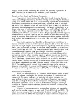 seagrass beds to sediment smothering, it is probable that increasing fragmentation in
Klein Oesterwal can be at least partially attributed to such disturbance.
Impacts on Patch Quality and Epifaunal Communities
Fragmentation leads to an intensified edge effect through increasing the outer
surface area of the patch community, therefore exposing more area to higher disturbance
(Pillay et al. 2010; Cameron-Burr et al. 2014). Increasing fragmentation would therefore
have negative consequences on overall patch quality, measured in terms of leaf length
and percent cover. Likewise average leaf length declined from 2014 to 2016, supporting
the negative effect of fragmentation on patch quality. Leaf length was also shown to be
longer in the center of patches, supporting edge effects on patch leaf length. Although an
analysis of the change in percent cover from 2014 to 2016 was not possible due to
methodological differences, our results do show a change in percent cover with respect to
stratum (center vs. edge; see Figure 4). This also supports the predictions made by edge
theory, as increasing outer surface area will expose seagrass leaves to higher disturbance
from herbivory and sedimentation (Bell et al. 2001; Pillay et al. 2010; Cameron-Burr et
al. 2014).
Many motile organisms have the ability to choose preferred microhabitats to
increase survival in response to predation pressure (Ray et al. 2014). Given that percent
cover and leaf length is higher in the center of patches, edge theory predicts that epifauna
should select for the center of patches so as to avoid higher disturbance (e.g. predation)
on patch edges (Bell et al. 2001). Our results demonstrate higher species richness in the
center of a patch as compared to the edge, affirming edge effects on epifaunal
communities in Klein Oesterwal. Declining patch quality, as a result of fragmentation,
are therefore expected to have a negative impact on epifaunal presence and abundance
(Duarte 2002; Orth et al. 2006; Pillay et al. 2010; Ray et al. 2014; Cameron-Burr et al.
2014). For example, species that are largely associated with Z. capensis, the surface-
dwelling limpet Fissurella mutabilis and the dwarf cushion starfish Parvulastra exigua,
have virtually disappeared from Klein Oesterwal between 1983 and 2009 (Pillay et al.
2010). The crucial role that Z. capensis plays in supporting these marine species is
indicative of its capability to increase local heterogeneity and biodiversity in otherwise
homogenous sedimentary habitats (Orth et al. 2006; Pillay et al. 2010; Ray et al. 2014).
Implications for Management
Severe loss and fragmentation of Z. capensis, and the negative impacts on patch
quality and epifaunal communities, has important implications for conservation and
management. The current challenge is to synthesize information to enhance our
understanding of seagrass processes, threats and change in Langebaan Lagoon, and to
apply this knowledge to develop effective management strategies (Orth et al. 2006).
Management applications should be based on the foundation of seagrass knowledge
developed in Langebaan Lagoon and aimed at establishing standards to conserve and
restore Z. capensis.
A number of seagrass management strategies have objectives with quantitative
goals aimed at restoring seagrasses to target levels (Duarte 2002; Orth et al. 2006). This
allows resource managers, who often make critical decisions, to justify the expense of
public funds (Orth et al. 2006). One key example is seagrass restoration programs that
 
