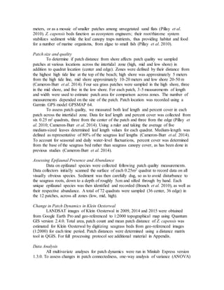 meters, or as a mosaic of smaller patches among unvegetated sand flats (Pillay et al.
2010). Z. capensis beds function as ecosystem engineers; their root/rhizome system
stabilizes sediment while the leaf canopy traps nutrients, thus providing habitat and food
for a number of marine organisms, from algae to small fish (Pillay et al. 2010).
Patch size and quality
To determine if patch distance from shore affects patch quality we sampled
patches at various locations across the intertidal zone (high, mid and low shore) in
addition to quadrat location (center and edge). Zones were defined by their distance from
the highest high tide line at the top of the beach; high shore was approximately 5 meters
from the high tide line, mid shore approximately 10-20 meters and low shore 20-50 m
(Cameron-Burr et al. 2014). Four sea grass patches were sampled in the high shore, three
in the mid shore, and five in the low shore. For each patch, 3-5 measurements of length
and width were used to estimate patch area for comparison across zones. The number of
measurements depended on the size of the patch. Patch location was recorded using a
Garmin GPS model GPSMAP 64.
To assess patch quality, we measured both leaf length and percent cover in each
patch across the intertidal zone. Data for leaf length and percent cover was collected from
six 0.25 m2 quadrats, three from the center of the patch and three from the edge (Pillay et
al. 2010; Cameron-Burr et al. 2014). Using a ruler and taking the average of five
medium-sized leaves determined leaf length values for each quadrat. Medium-length was
defined as representative of 80% of the seagrass leaf lengths (Cameron-Burr et al. 2014).
To account for seasonal and daily water-level fluctuations, percent cover was determined
from the base of the seagrass bed rather than seagrass canopy cover, as has been done in
previous studies (Cameron-Burr et al. 2014).
Assessing Epifaunal Presence and Abundance
Data on epifaunal species were collected following patch quality measurements.
Data collectors initially scanned the surface of each 0.25m2 quadrat to record data on all
visually obvious species. Sediment was then carefully dug, so as to avoid disturbance to
the seagrass roots, down to a depth of roughly 5cm and sifted through by hand. Each
unique epifaunal species was then identified and recorded (Branch et al. 2010), as well as
their respective abundance. A total of 72 quadrats were sampled (36 center, 36 edge) in
the 12 patches, across all zones (low, mid, high).
Change in Patch Dynamics in Klein Oesterwal
LANDSAT images of Klein Oesterwal in 2009, 2014 and 2015 were obtained
from Google Earth Pro and geo-referenced to 1:2000 topographical map using Quantum
GIS version 2.4.0. Total area, patch count and mean patch distance of Z. capensis was
estimated for Klein Oesterwal by digitizing seagrass beds from geo-referenced images
(1:2000) for each time period. Patch distances were determined using a distance matrix
tool in QGIS. For full processing protocol see additional material in Appendix.
Data Analysis
All multivariate analyses for patch dynamics were run in Minitab Express version
1.3.0. To assess changes in patch connectedness, one-way analysis of variance (ANOVA)
 