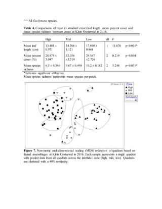 ^^^All Euclymene species.
Table 4. Comparisons of mean (± standard error) leaf length, mean percent cover and
mean species richness between zones at Klein Oesterwal in 2016.
High Mid Low df F
Mean leaf
length (cm)
13.481 ±
0.971
14.766 ±
1.121
17.890 ±
0.868
1 11.676 p<0.001*
Mean percent
cover (%)
28.875 ±
3.047
32.056
±3.519
29.567
±2.726
2 0.219 p=0.804
Mean species
richness
6.5 ± 0.346 9.67 ± 0.498 10.2 ± 0.182 2 5.248 p=0.031*
*Indicates significant difference.
Mean species richness represents mean species per patch.
Figure 7. Non-metric multidimensional scaling (MDS) ordination of quadrats based on
faunal assemblages at Klein Oesterwal in 2016. Each sample represents a single quadrat
with pooled data from all quadrats across the intertidal zone (high, mid, low). Quadrats
are clustered with a 40% similarity.
 