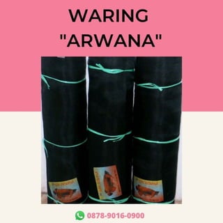 Waring Arwana