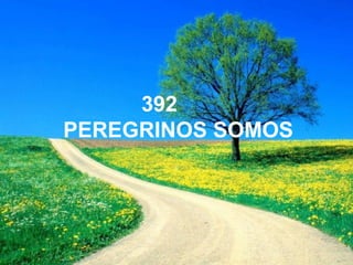 392
PEREGRINOS SOMOS
 