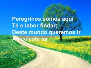 Peregrinos somos aqui
Té o labor findar;
Deste mundo queremos ir
Ao celeste lar.
 