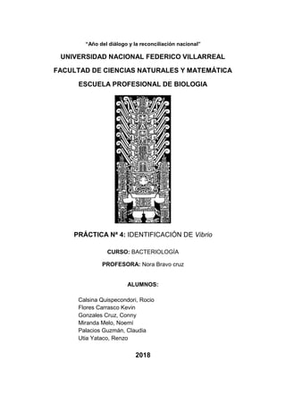 “Año del diálogo y la reconciliación nacional”
UNIVERSIDAD NACIONAL FEDERICO VILLARREAL
FACULTAD DE CIENCIAS NATURALES Y MATEMÁTICA
ESCUELA PROFESIONAL DE BIOLOGIA
PRÁCTICA Nª 4: IDENTIFICACIÓN DE Vibrio
CURSO: BACTERIOLOGÍA
PROFESORA: Nora Bravo cruz
ALUMNOS:
Calsina Quispecondori, Rocio
Flores Carrasco Kevin
Gonzales Cruz, Conny
Miranda Melo, Noemí
Palacios Guzmán, Claudia
Utia Yataco, Renzo
2018
 