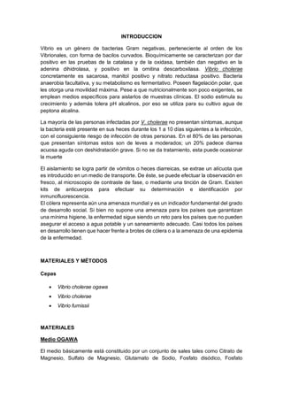 INTRODUCCION
Vibrio es un género de bacterias Gram negativas, perteneciente al orden de los
Vibrionales, con forma de bacilos curvados. Bioquímicamente se caracterizan por dar
positivo en las pruebas de la catalasa y de la oxidasa, también dan negativo en la
adenina dihidrolasa, y positivo en la ornitina descarboxilasa. Vibrio cholerae
concretamente es sacarosa, manitol positivo y nitrato reductasa positivo. Bacteria
anaerobia facultativa, y su metabolismo es fermentativo. Poseen flagelación polar, que
les otorga una movilidad máxima. Pese a que nutricionalmente son poco exigentes, se
emplean medios específicos para aislarlos de muestras clínicas. El sodio estimula su
crecimiento y además tolera pH alcalinos, por eso se utiliza para su cultivo agua de
peptona alcalina.
La mayoría de las personas infectadas por V. cholerae no presentan síntomas, aunque
la bacteria esté presente en sus heces durante los 1 a 10 días siguientes a la infección,
con el consiguiente riesgo de infección de otras personas. En el 80% de las personas
que presentan síntomas estos son de leves a moderados; un 20% padece diarrea
acuosa aguda con deshidratación grave. Si no se da tratamiento, esta puede ocasionar
la muerte
El aislamiento se logra partir de vómitos o heces diarreicas, se extrae un alícuota que
es introducido en un medio de transporte. De éste, se puede efectuar la observación en
fresco, al microscopio de contraste de fase, o mediante una tinción de Gram. Existen
kits de anticuerpos para efectuar su determinación e identificación por
inmunofluorescencia.
El cólera representa aún una amenaza mundial y es un indicador fundamental del grado
de desarrollo social. Si bien no supone una amenaza para los países que garantizan
una mínima higiene, la enfermedad sigue siendo un reto para los países que no pueden
asegurar el acceso a agua potable y un saneamiento adecuado. Casi todos los países
en desarrollo tienen que hacer frente a brotes de cólera o a la amenaza de una epidemia
de la enfermedad.
MATERIALES Y MÉTODOS
Cepas
 Vibrio cholerae ogawa
 Vibrio cholerae
 Vibrio furnissii
MATERIALES
Medio OGAWA
El medio básicamente está constituido por un conjunto de sales tales como Citrato de
Magnesio, Sulfato de Magnesio, Glutamato de Sodio, Fosfato disódico, Fosfato
 