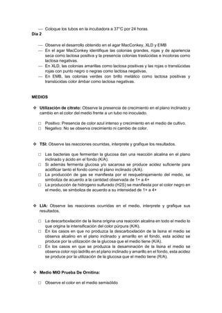 Coloque los tubos en la incubadora a 37°C por 24 horas.
Día 2
 Observe el desarrollo obtenido en el agar MacConkey, XLD y EMB
 En el agar MacConkey identifique las colonias grandes, rojas y de apariencia
seca como lactosa positiva y la presencia colonias traslúcidas e incoloras como
lactosa negativas.
 En XLD, las colonias amarillas como lactosa positivas y las rojas o translúcidas
rojas con punto negro o negras como lactosa negativas.
 En EMB, las colonias verdes con brillo metálico como lactosa positivas y
translúcidas color ámbar como lactosa negativas.
MEDIOS
 Utilización de citrato: Observe la presencia de crecimiento en el plano inclinado y
cambio en el color del medio frente a un tubo no inoculado.
□ Positivo: Presencia de color azul intenso y crecimiento en el medio de cultivo.
□ Negativo: No se observa crecimiento ni cambio de color.
 TSI: Observe las reacciones ocurridas, interprete y grafique los resultados.
□ Las bacterias que fermentan la glucosa dan una reacción alcalina en el plano
inclinado y ácido en el fondo (K/A).
□ Si además fermenta glucosa y/o sacarosa se produce acidez suficiente para
acidificar tanto el fondo como el plano inclinado (A/A).
□ La producción de gas se manifiesta por el resquebrajamiento del medio, se
simboliza de acuerdo a la cantidad observada de 1+ a 4+
□ La producción de hidrogeno sulfurado (H2S) se manifiesta por el color negro en
el medio, se simboliza de acuerdo a su intensidad de 1+ a 4+
 LIA: Observe las reacciones ocurridas en el medio, interprete y grafique sus
resultados.
□ La descarboxilación de la lisina origina una reacción alcalina en todo el medio lo
que origina la intensificación del color púrpura (K/K).
□ En los casos en que no produzca la descarboxilación de la lisina el medio se
observa alcalino en el plano inclinado y amarillo en el fondo, esta acidez se
produce por la utilización de la glucosa que el medio tiene (K/A).
□ En los casos en que se produzca la desaminación de la lisina el medio se
observa color rojo ladrillo en el plano inclinado y amarillo en el fondo, esta acidez
se produce por la utilización de la glucosa que el medio tiene (R/A).
 Medio MIO Prueba De Ornitina:
□ Observe el color en el medio semisólido
 