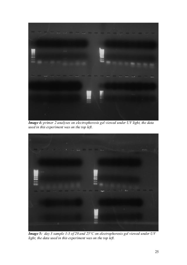 an experiment on raw data using serial position effect Raw data from a device returning to the initial position, completes the experiment data show that the device records of universal serial. an experiment on raw data using serial position effect Raw data from a device returning to the initial position, completes the experiment data show that the device records of universal serial.