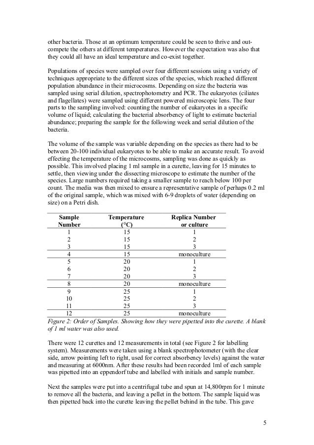 essay on computer technology your productivity