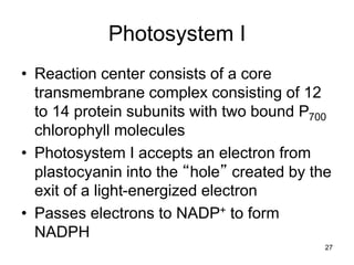 GENERAL BIOLOGY - PHOTOSYNTHESIS | PPT