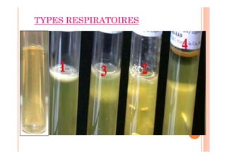 TYPES RESPIRATOIRES
 