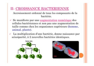 II- CROISSANCE BACTERIENNE
Accroissement ordonné de tous les composants de la
bactérie.
 Se manifeste par une augmentation numérique des
cellules bactériennes et non pas une augmentation de
taille comme chez les organismes supérieurs (homme,
animal, plante).
 La multiplication d’une bactérie, donne naissance par
scissiparité, à 2 nouvelles bactéries identiques.
 