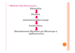  Méthode d’épi fluorescence :
Echantillon
filtration
coloration/acridine-orange
lumière bleue
Dénombrement Bactérien par Microscope à
épifluorescence.
 