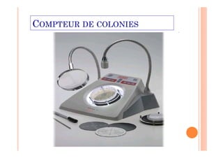 COMPTEUR DE COLONIES
 