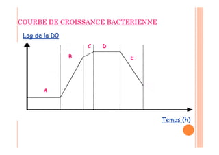COURBE DE CROISSANCE BACTERIENNE
A
B
C D
E
Temps (h)
Log de la D0
 