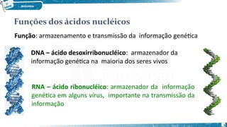 Função: armazenamento e transmissão da informação genética
DNA – ácido desoxirribonucléico: armazenador da
informação genética na maioria dos seres vivos
RNA – ácido ribonucléico: armazenador da informação
genética em alguns vírus, importante na transmissão da
informação
Funções dos ácidos nucléicos
5
 
