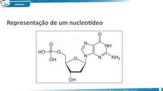 Representação de um nucleotídeo
7
 
