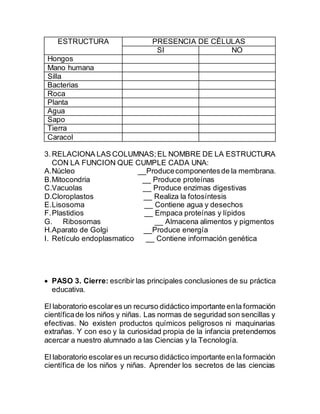 ESTRUCTURA PRESENCIA DE CÈLULAS
SI NO
Hongos
Mano humana
Silla
Bacterias
Roca
Planta
Agua
Sapo
Tierra
Caracol
3.RELACIONA LAS COLUMNAS;EL NOMBRE DE LA ESTRUCTURA
CON LA FUNCION QUE CUMPLE CADA UNA:
A.Núcleo __Producecomponentesde la membrana.
B.Mitocondria __ Produce proteínas
C.Vacuolas __ Produce enzimas digestivas
D.Cloroplastos __ Realiza la fotosíntesis
E.Lisosoma __ Contiene agua y desechos
F.Plastidios __ Empaca proteínas y lípidos
G. Ribosomas __ Almacena alimentos y pigmentos
H.Aparato de Golgi __Produce energía
I. Retículo endoplasmatico __ Contiene información genética
 PASO 3. Cierre: escribir las principales conclusiones de su práctica
educativa.
El laboratorio escolares un recurso didáctico importante enla formación
científicade los niños y niñas. Las normas de seguridad son sencillas y
efectivas. No existen productos químicos peligrosos ni maquinarias
extrañas. Y con eso y la curiosidad propia de la infancia pretendemos
acercar a nuestro alumnado a las Ciencias y la Tecnología.
El laboratorio escolares un recurso didáctico importante enla formación
científica de los niños y niñas. Aprender los secretos de las ciencias
 