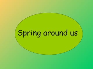 Spring around us 