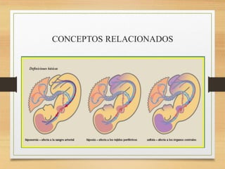 CONCEPTOS RELACIONADOS
 