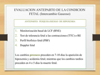 EVALUACION ANTEPARTO DE LA CONDICION
FETAL (Intercambio Gaseoso)
1. Monitorización basal de LCF (RNE)
2. Test de tolerancia fetal a las contracciones (TTC) o RE
3. Perfil biofísico fetal (PBF)
4. Doppler fetal
Los cambios precoces preceden en 7-10 días la aparición de
hipoxemia y acidemia fetal; mientras que los cambios tardíos
preceden en 4 o 5 días la muerte fetal.
ANTEPARTO: PESQUISA RIESGO DE HIPOXEMIA
 