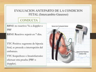 EVALUACION ANTEPARTO DE LA CONDICION
FETAL (Intercambio Gaseoso)
CONDUCTA
RBNE no reactivo: Va a doppler o
PBF
RBNE Reactivo: repetir en 7 días.
TTC Positiva: sugerente de hipoxia
fetal, se procede a interrupción del
embarazo.
TTC Sospechoso o Insatisfactorio:
efectuar otra prueba (PBF o
doppler).
 