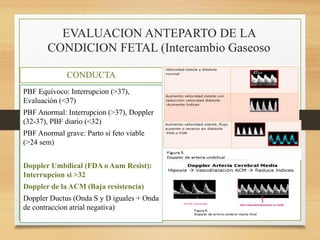 EVALUACION ANTEPARTO DE LA
CONDICION FETAL (Intercambio Gaseoso
CONDUCTA
PBF Equívoco: Interrupcion (>37),
Evaluación (<37)
PBF Anormal: Interrupcion (>37), Doppler
(32-37), PBF diario (<32)
PBF Anormal grave: Parto si feto viable
(>24 sem)
Doppler Umbilical (FDA o Aum Resist):
Interrupcion si >32
Doppler de la ACM (Baja resistencia)
Doppler Ductus (Onda S y D iguales + Onda
de contraccion atrial negativa)
 