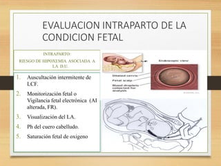 INTRAPARTO:
RIESGO DE HIPOXEMIA ASOCIADA A
LA D.U.
1. Auscultación intermitente de
LCF.
2. Monitorización fetal o
Vigilancia fetal electrónica (AI
alterada, FR).
3. Visualización del LA.
4. Ph del cuero cabelludo.
5. Saturación fetal de oxigeno
 