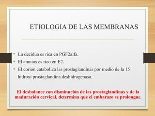 ETIOLOGIA DE LAS MEMBRANAS
• La decidua es rica en PGF2alfa.
• El amnios es rico en E2.
• El corion cataboliza las prostaglandinas por medio de la 15
hidroxi prostaglandina deshidrogenasa.
El desbalance con disminución de las prostaglandinas y de la
maduración cervical, determina que el embarazo se prolongue.
 