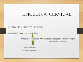 ETIOLOGIA CERVICAL
ALTERACION EN ESTE PROCESO:
Interleucina 8 activa neutrófilos
liberación de colagenasas hidratan y destruyen las fibras de colágeno
(maduración de cervical)
Prostaglandinas
estimulan actividad
 