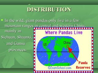 DISTRIBUTIONDISTRIBUTION
 In the wild, giant pandas only live in a fewIn the wild, giant pandas only live in a few
mountain ranges in central and western China,mountain ranges in central and western China,
mainly inmainly in
Sichuan, Shaanxi,Sichuan, Shaanxi,
and Gansuand Gansu
provinces.provinces.
 