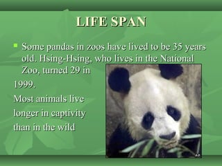 LIFE SPANLIFE SPAN
 Some pandas in zoos have lived to be 35 yearsSome pandas in zoos have lived to be 35 years
old. Hsing-Hsing, who lives in the Nationalold. Hsing-Hsing, who lives in the National
Zoo, turned 29 inZoo, turned 29 in
1999.1999.
Most animals liveMost animals live
longer in captivitylonger in captivity
than in the wildthan in the wild
 