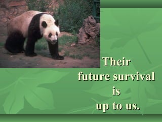 TheirTheir
future survivalfuture survival
isis
up to us.up to us.
 