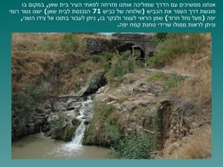 אנחנו ממשיכים עם הדרך שמוליכה אותנו מזרחה לפאתי העיר בית שאן ,  במקום בו פוגשת דרך העפר את הכביש  ( שלוחה של כביש  71  הנכנסת לבית שאן )  ישנו גשר רומי יפה  ( מעל נחל חרוד )  שמן הראוי לעצור ולבקר בו ,  ניתן לעבור בתוכו אל צידו השני ,  וניתן לראות ממולו שרידי טחנת קמח יפה . שרידי טח '  הקמח 