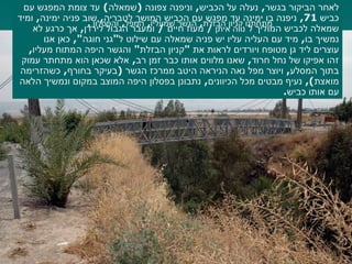 לאחר הביקור בגשר ,  נעלה על הכביש ,  וניפנה צפונה  ( שמאלה )  עד צומת המפגש עם כביש  71,  ניפנה בו ימינה עד מפגש עם הכביש המושך לטבריה ,  שוב פניה ימינה ,  ומיד שמאלה לכביש המוליך ל  נווה איתן  /   מעוז חיים  /  ומעבר הגבול לירדן ,  אך כרגע לא נמשיך בו ,  מיד עם העליה עליו יש פניה שמאלה עם שילוט ל " גני חוגה ",  כאן אנו עוצרים ליד גן מטופח ויורדים לראות את  " קניון הבזלת "  והגשר היפה המתוח מעליו ,  זהו אפיקו של נחל חרוד ,  שאנו מלווים אותו כבר זמן רב ,  אלא שכאן הוא מתחתר עמוק בתוך המסלע ,  ויוצר מפל נאה הניראה היטב ממרכז הגשר  ( בעיקר בחורף ,  כשהזרימה מואצת ),  נעיף מבטים מכל הכיוונים ,  נתבונן בפסלון היפה המוצב במקום ונמשיך הלאה עם אותו כביש . מתחתנו קניון הבזלת ,  הגשר שמעליו ,  המפל ,  והפסלון  . 