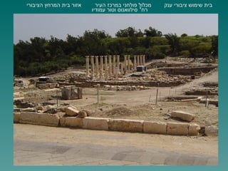 בית שימוש ציבורי ענק אזור בית המרחץ הציבורי מכלול פולחני במרכז העיר רח '  סילוואנוס וטור עמודיו 