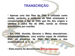 TRANSCRIÇÃO

• Apenas uma das fitas do DNA é utilizada como
molde, portanto, a molécula de RNA sintetizada é
complementar à fita de DNA que lhe deu origem e
idêntica à outra fita de DNA, sendo as timinas
substituídas por uracilas


• Em 1960, Hurwitz, Stevens e Weiss descobriram,
independentemente, uma enzima capaz de sintetizar
RNA na presença de DNA fita dupla e dos
nucleotídeos A, U, C, G.


• Esta enzima foi denominada RNA polimerase.
 