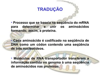 TRADUÇÃO

• Processo que se baseia na seqüência do mRNA
para determinar e unir os aminoácidos
formando, assim, a proteína.

• Cada aminoácido é codificado na seqüência de
DNA como um códon contendo uma seqüência
de três nucleotídeos.

• Moléculas de RNA transportador transferem a
informação contida no genoma à uma seqüência
de aminoácidos nas proteínas.
 
